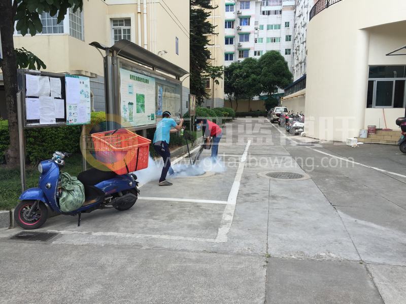 娛樂場所滅鼠