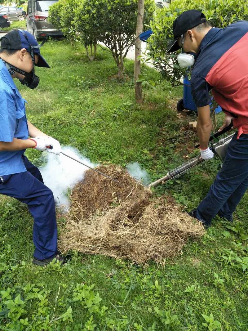 南寧滅鼠控蟲