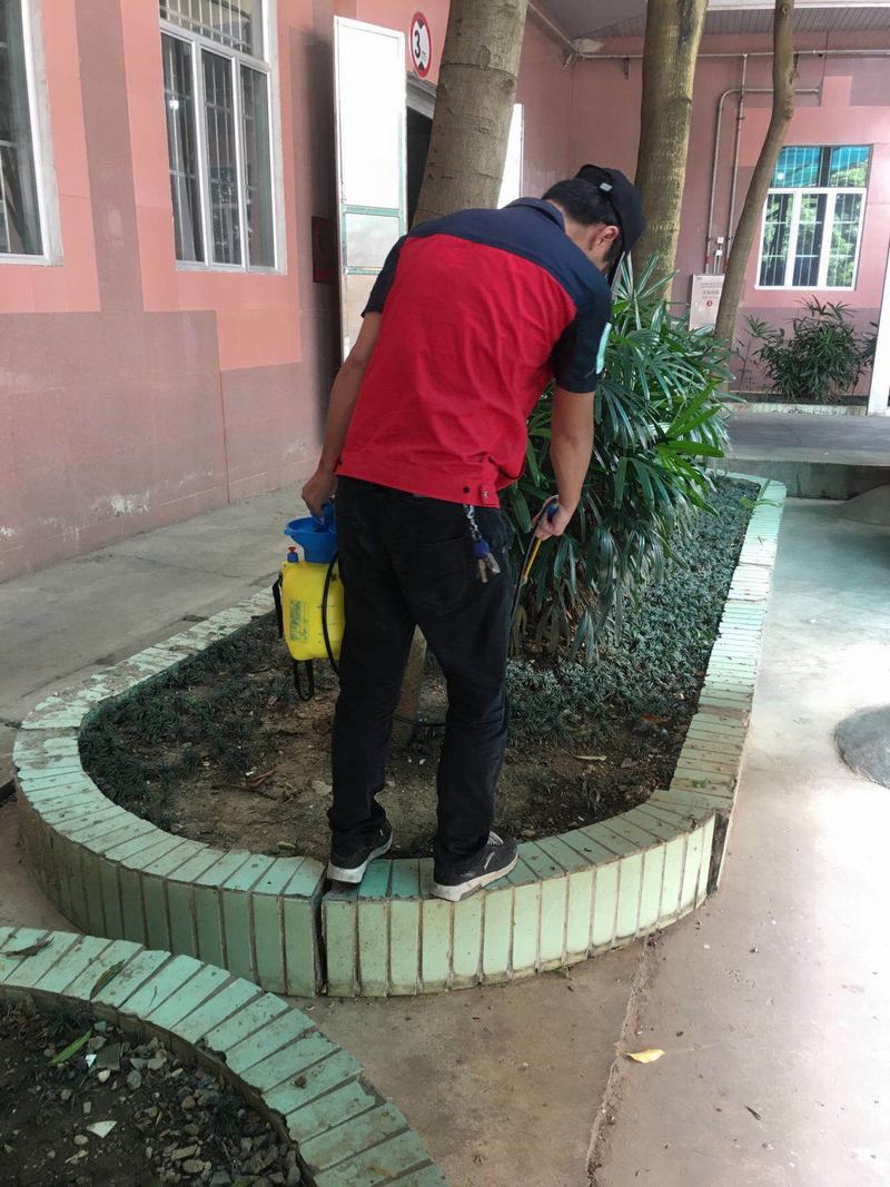 南寧滅鼠控蟲