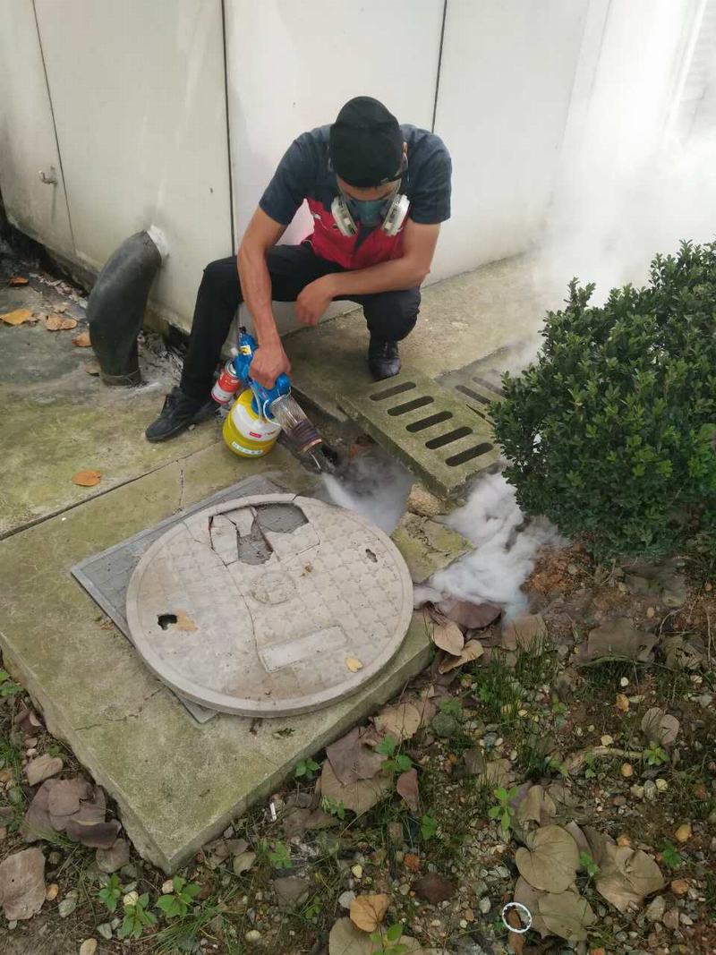南寧滅鼠