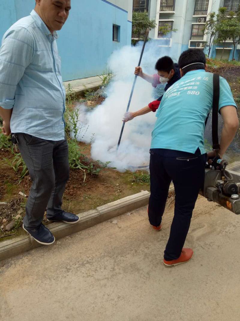 社區白蟻防治