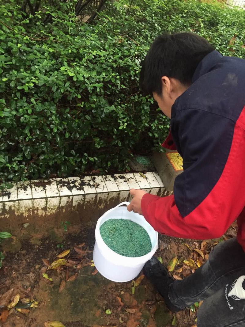 娛樂場所滅鼠
