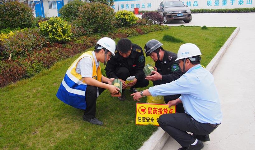 為什么慢性滅鼠藥要比急性滅鼠藥好？
